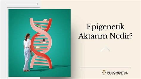 epigenetik nedir tıp